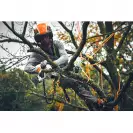 Трион верижен акумулаторен за клони STIHL GTA 40 Set, 10.8+10.8V, 2.6Ah, Li-Ion, 15cм - small, 254061