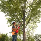 Акумулаторна лозарска телескопична ножица MILWAUKEE M18 BLTS-0, 18V, 2.0-12.0Ah, Li-Ion, 44мм - small, 260816