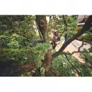 Трион верижен акумулаторен STIHL MSA 220 Т Solo, 36V, 2.6-6.3Ah, Li-Ion, 35cм - small, 264385