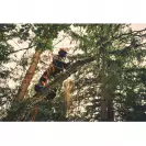 Трион верижен акумулаторен STIHL MSA 220 Т Solo, 36V, 2.6-6.3Ah, Li-Ion, 35cм - small, 264386