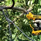 Акумулаторна лозарска ножица DEWALT DCMPP568P1-QW, 18V, 5.0Ah, Li-Ion, 38мм - small, 269920