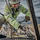 Длето дърводелско плоско DEWALT 18-32мм 3части, с пластмасова дръжка - small, 269453