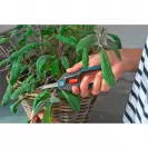 Ножица GARDENA FreshCut, от неръждаема стомана, дръжки с пластмасово покритие - small, 269057