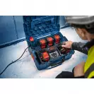 Комплект батерия и зарядно BOSCH 2xEXBA18V-55 + 2xEXBA18V-80 + EXAL18V2-320, 18V, 5.5/8.0Ah, Li-Ion - small, 281579