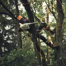 Трион верижен акумулаторен STIHL MSA 190 T, 36V, 2.1-6.3Ah, Li-Ion, 35cм - small, 273080