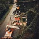 Трион верижен акумулаторен STIHL MSA 190 T, 36V, 2.1-6.3Ah, Li-Ion, 35cм - small, 273081