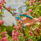 Ножица лозарска GARDENA EasyCut, 20мм, неръждаема стомана - small, 278293