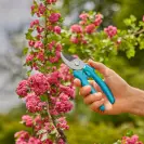 Ножица лозарска GARDENA EasyCut, 20мм, неръждаема стомана - small, 278294
