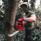Трион верижен акумулаторен MILWAUKEE M18 FCHS35-122, 18V, 12Ah, Li-Ion, 35cм, безчетков - small, 305386