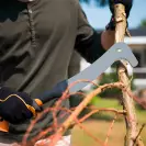 Мачете FISKARS WoodXpert XА3 505мм - small, 219087