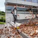 Акумулаторна въздуходувка KARCHER LBB 1060/36 Bp, 36V, 2.5-5.0Ah, Li-Ion, 1060m3/h, безчетков мотор - small, 236460