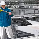 Водоструйка електрическа KARCHER HD 10/15-4 Cage Food, 6400W, 150bar, 990l/h, 400V - small, 236522