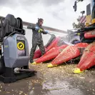 Водоструйка електрическа KARCHER HD 13/18-4 SXA Plus, 8800W, 50-180bar, 700-1300l/h, 400V - small, 236077