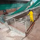 Водоструйка електрическа KARCHER HD 20/15-4 Cage Plus, 11500W, 150bar, 2000l/h, 400V - small, 236571