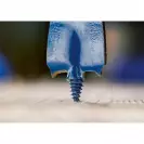 Свредло плоско за дърво BOSCH Self Cut Speed 35x152x100мм, 1/4