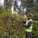 Акумулаторен храсторез DEWALT DCMHT563N, 18V, 1.5-5.0Ah, Li-Ion, 550мм, безчетков - small, 243249