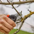 Ножица лозарска GARDENA ExpertCut, 22мм, неръждаема стомана - small, 249236